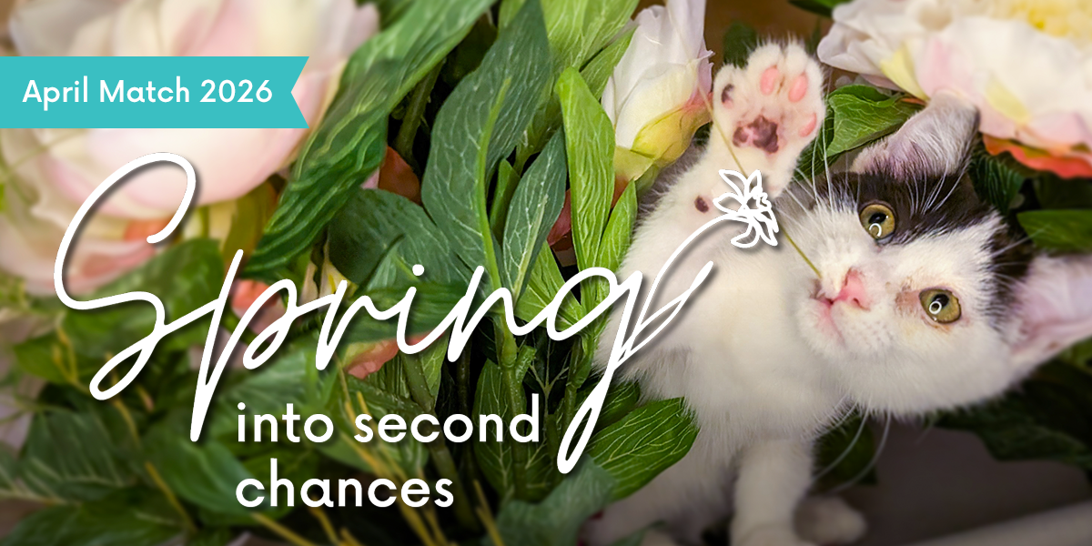 April Match Campaign